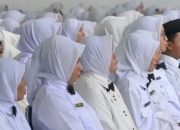 7 Perbedaan PNS dan PPPK Serta Gaji yang Diterima