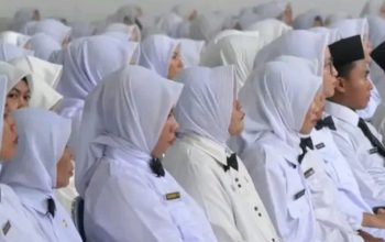 7 Perbedaan PNS dan PPPK Serta Gaji yang Diterima