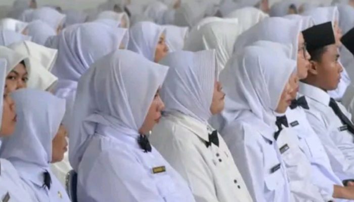 7 Perbedaan PNS dan PPPK Serta Gaji yang Diterima