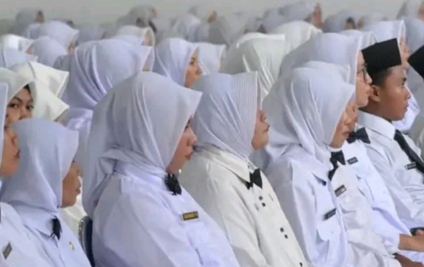 7 Perbedaan PNS dan PPPK Serta Gaji yang Diterima